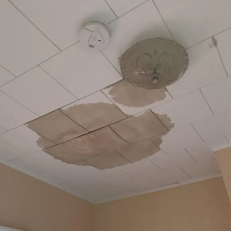 Ceiling Water Damage Repair in Spring House, PA