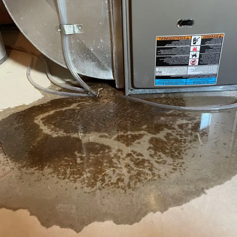 Pipe Burst and Leak Restoration in Spring House, PA